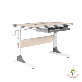 Растущая парта Anatomica Study-100 клен/серый